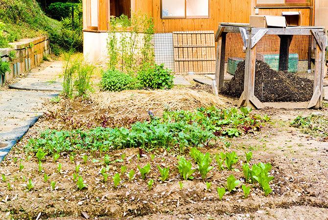 Composting at Home